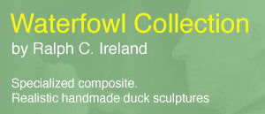 Waterfowl Collection