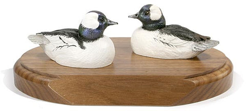 Bufflehead Ducks on a Base