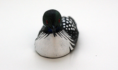 Female Common Loon Duck