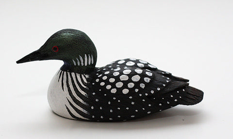 Female Common Loon Duck