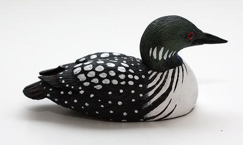 Female Common Loon Duck