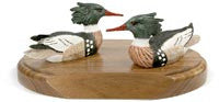 Red-breasted Mergansers on a Base