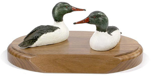 Common Mergansers on a Base