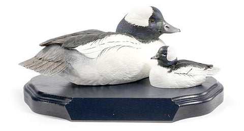Bufflehead Drakes on a Base