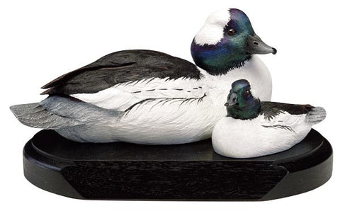 Bufflehead and Duckling on a Base