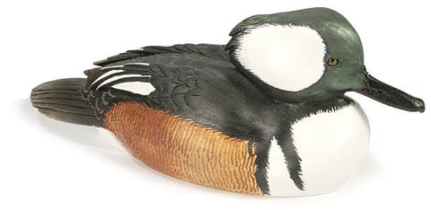 Hooded Merganser