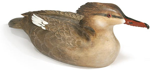 Red-breasted Merganser with Lowered Neck