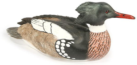 Straight Head Red-breasted Merganser