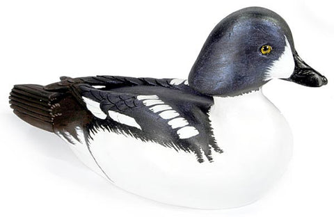 Barrow's Goldeneye Duck sculpture