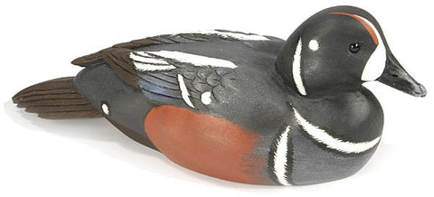 Harlequin Drake