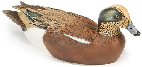 Green-winged Teal