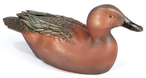Cinnamon Teal Drake