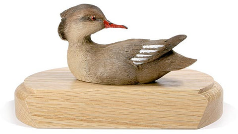 Female Red-breasted Merganser on a Base