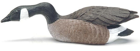 Canada Goose with Forward Stretched Neck