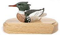 Red-breasted Merganser on a Base