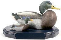 Straight Head Mallards on a Base