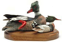 Red-breasted Merganser Drakes on a Base