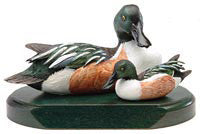 Northern Shoveler Drake and Duckling on a Base