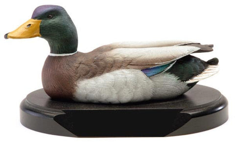 Dark Plumage Mallard on a Base